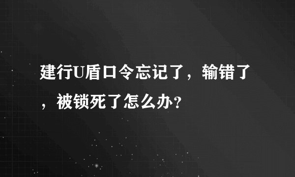 建行U盾口令忘记了，输错了，被锁死了怎么办？