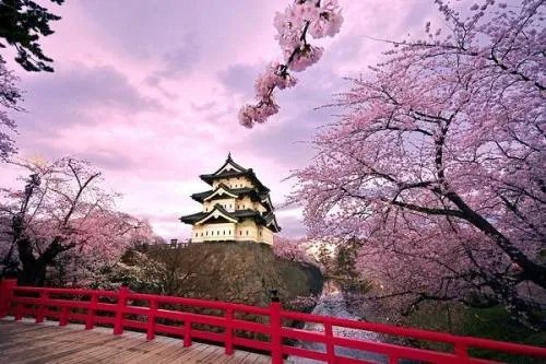 5月赴日旅游仅1700人,什么原因导致游客变少了呢?