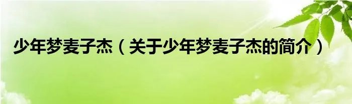 少年梦麦子杰（关于少年梦麦子杰的简介）