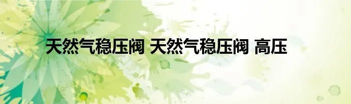 天然气稳压阀 天然气稳压阀 高压
