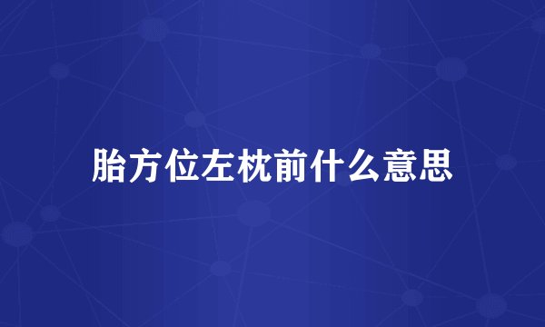胎方位左枕前什么意思