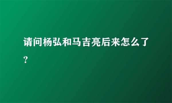 请问杨弘和马吉亮后来怎么了?