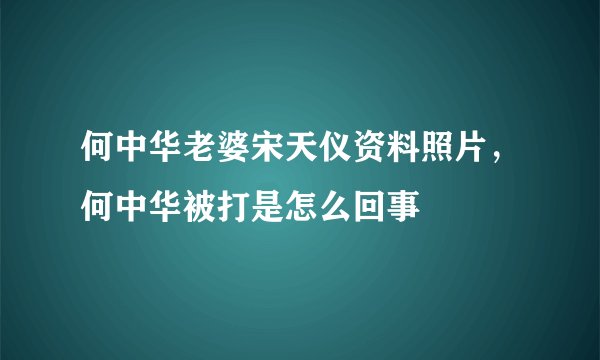 何中华老婆宋天仪资料照片，何中华被打是怎么回事