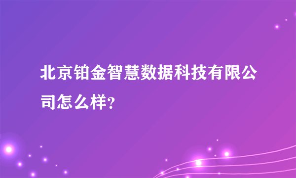 北京铂金智慧数据科技有限公司怎么样？