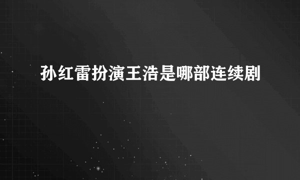 孙红雷扮演王浩是哪部连续剧