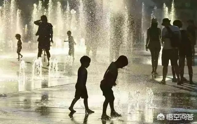 近来北极圈罕见32℃高温,高温成因是什么?北极熊受此影响会走向灭绝吗?