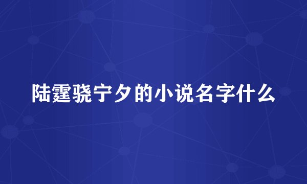 陆霆骁宁夕的小说名字什么