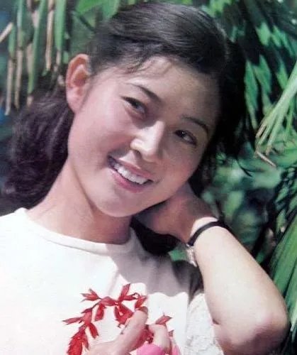 55岁倪萍图片大全　整容前后曝光
