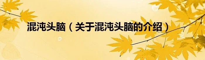 混沌头脑（关于混沌头脑的介绍）