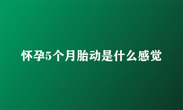 怀孕5个月胎动是什么感觉