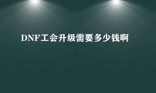 DNF工会升级需要多少钱啊