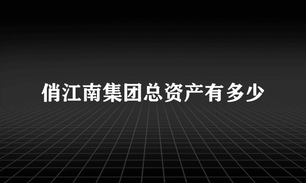 俏江南集团总资产有多少