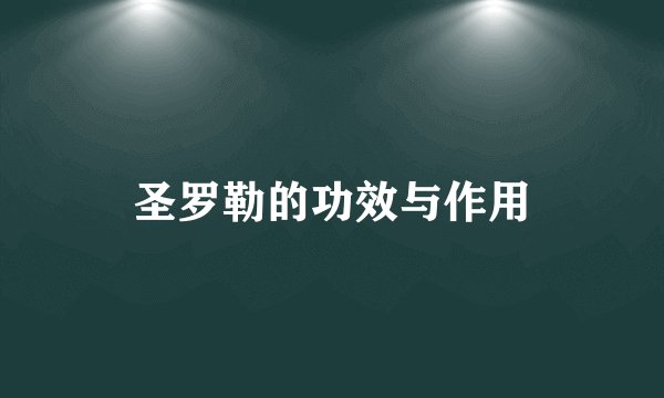 圣罗勒的功效与作用