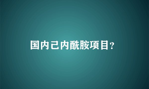 国内己内酰胺项目？