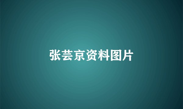 张芸京资料图片