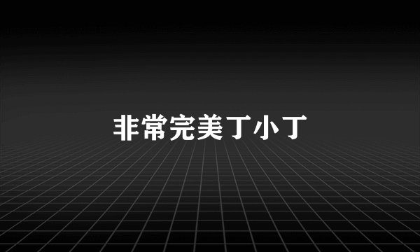 非常完美丁小丁