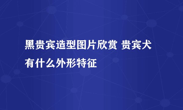 黑贵宾造型图片欣赏 贵宾犬有什么外形特征