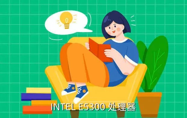 intele5300,关于intelE5300