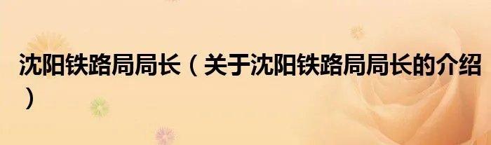 沈阳铁路局局长（关于沈阳铁路局局长的介绍）