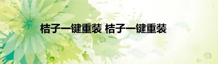 桔子一键重装 桔子一键重装