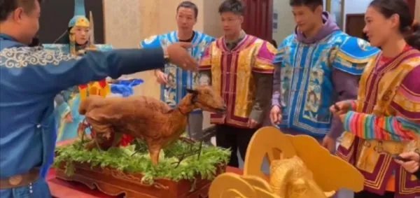 苏炳添在内蒙古吃烤全羊,内蒙的烤全羊好吃吗?