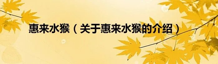 惠来水猴（关于惠来水猴的介绍）