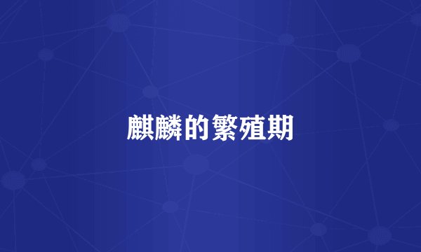 麒麟的繁殖期