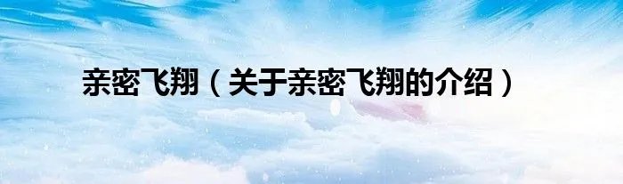 亲密飞翔（关于亲密飞翔的介绍）