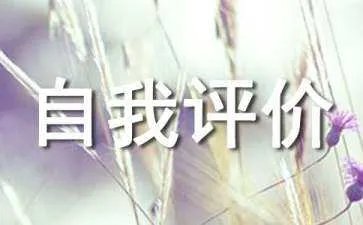审美与表现自我评价