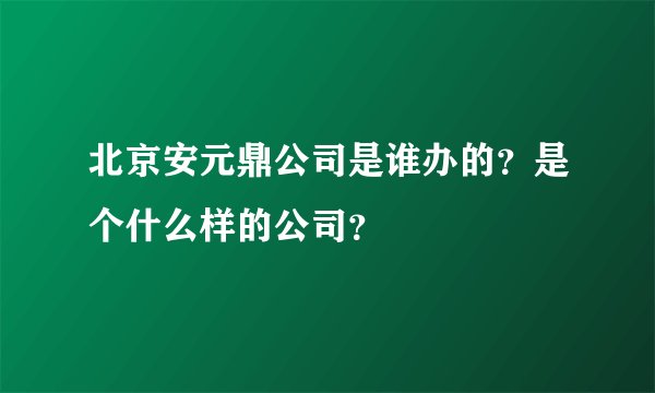 北京安元鼎公司是谁办的?是个什么样的公司?