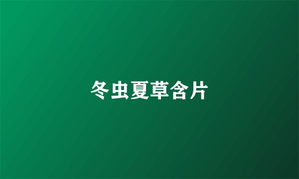 冬虫夏草含片