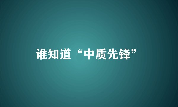 谁知道“中质先锋”
