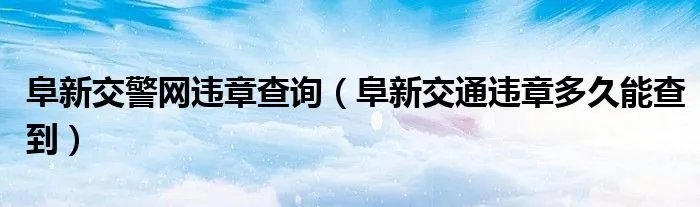 阜新交警网违章查询（阜新交通违章多久能查到）