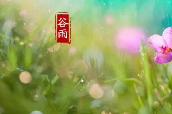 谷雨的诗句图片