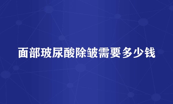 面部玻尿酸除皱需要多少钱