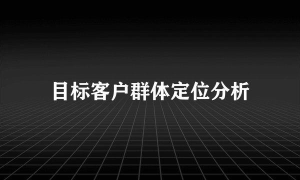 目标客户群体定位分析