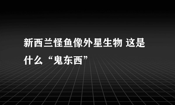 新西兰怪鱼像外星生物 这是什么“鬼东西”