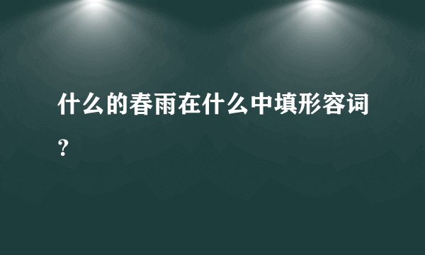 什么的春雨在什么中填形容词？