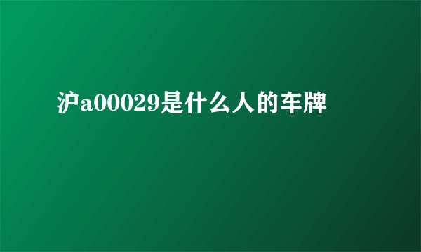 沪a00029是什么人的车牌