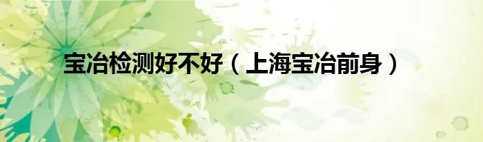 宝冶检测好不好(上海宝冶前身)
