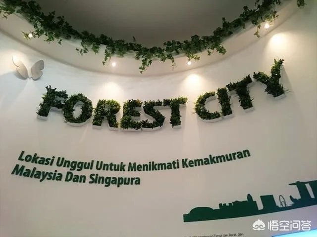 碧桂园森林城市到底是一个什么样的项目？
