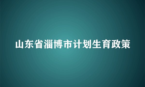 山东省淄博市计划生育政策