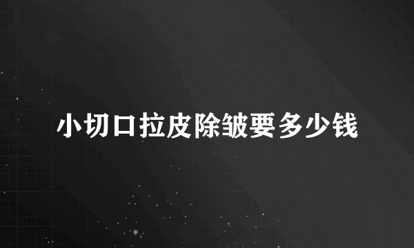 小切口拉皮除皱要多少钱