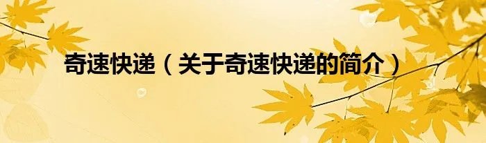 奇速快递（关于奇速快递的简介）