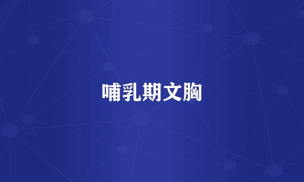 哺乳期文胸