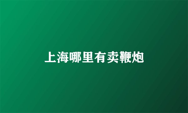 上海哪里有卖鞭炮