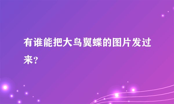 有谁能把大鸟翼蝶的图片发过来？