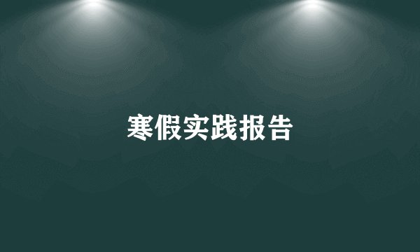 寒假实践报告