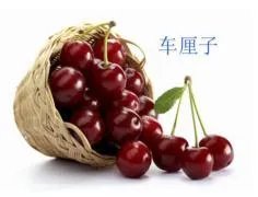 车厘子和樱桃有什么区别?是同一种水果吗?