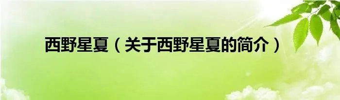 西野星夏（关于西野星夏的简介）